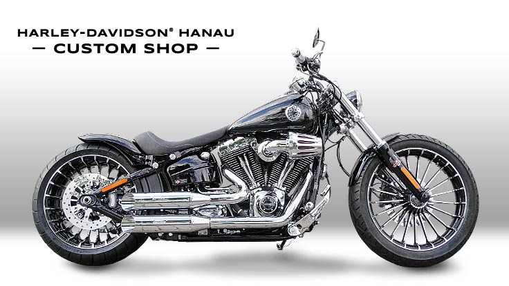 Harley-Davidson Softail Cross Bones Umbau Kontrast Custombike