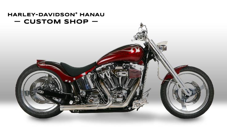 Harley-Davidson Softail Purity
