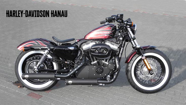 Harley-Davidson Custombike Sportster Flames