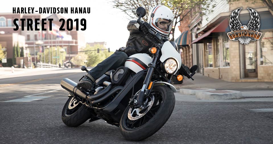 Harley-Davidson Hanau präsentiert das Street Modelljahr 2019 mit Street 750 und Street Rod