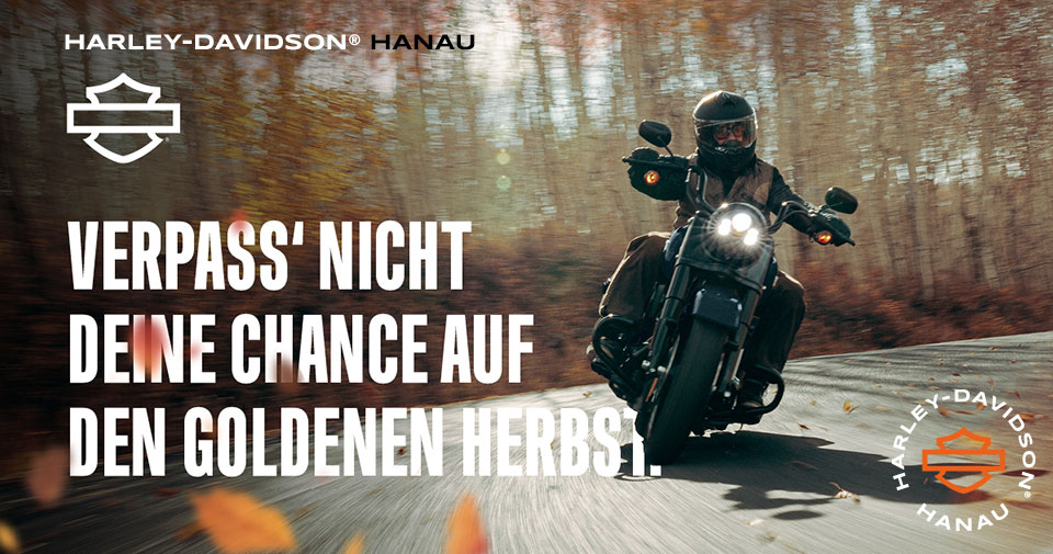Wir lassen Deinen Herbst gold werden!