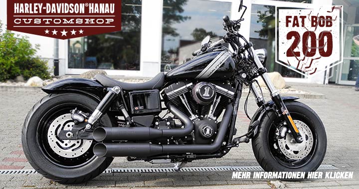 Fat Bob Umbau 200