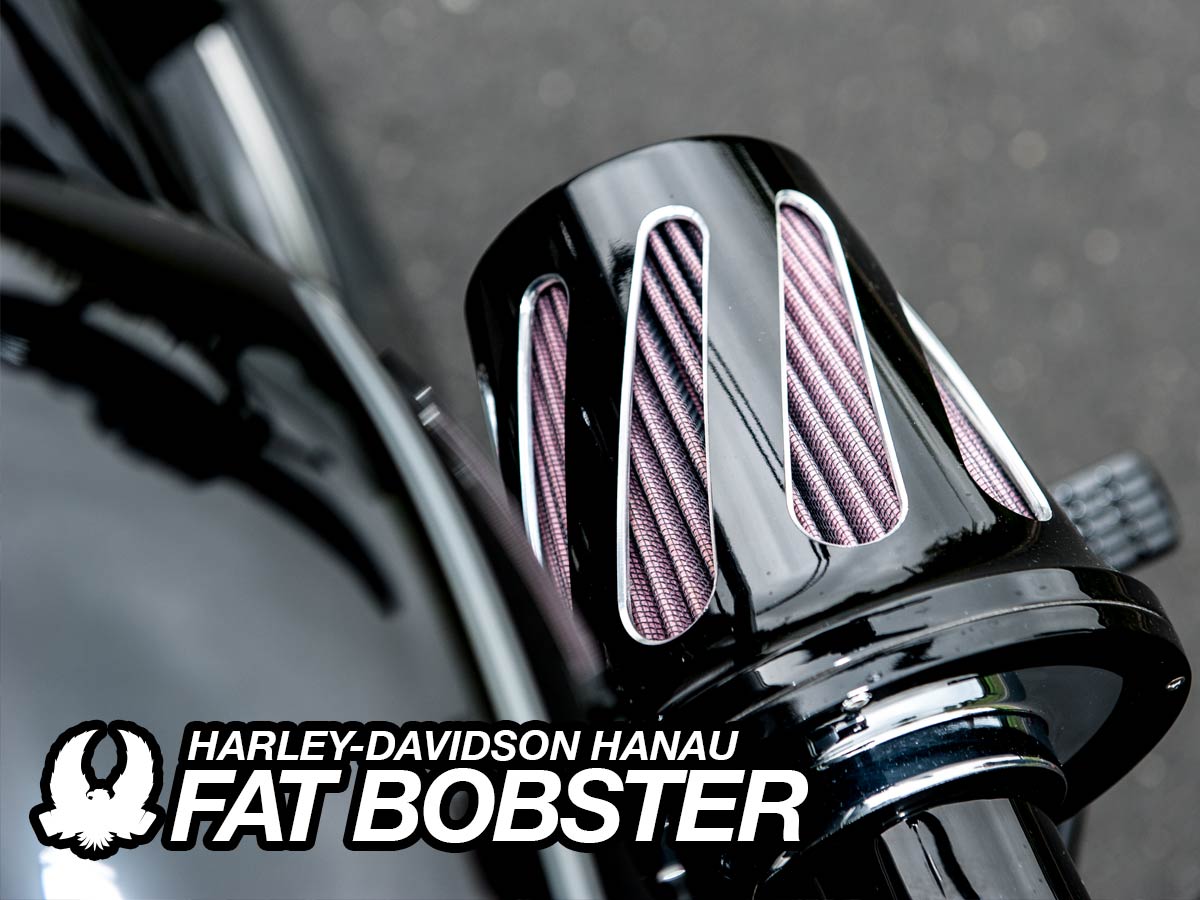 Harley-Davidson Hanau - Sportster Fat Bobster Custombike